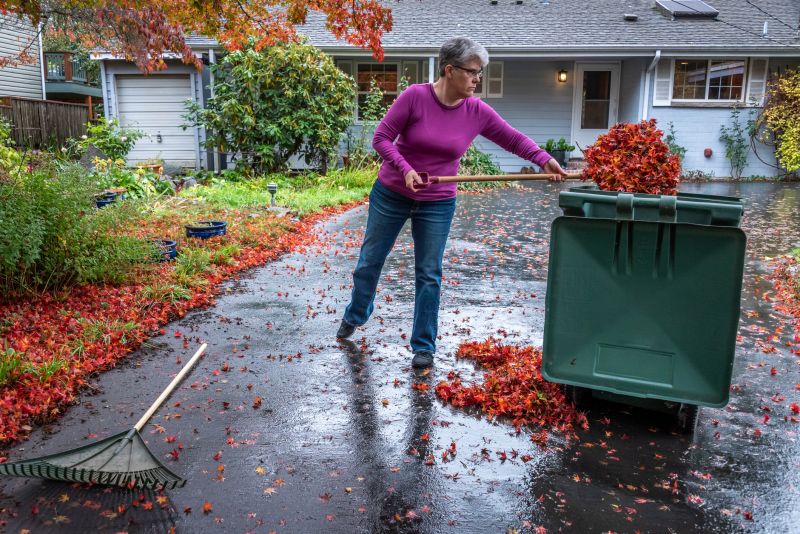 Fall Leaf Removal in Progress