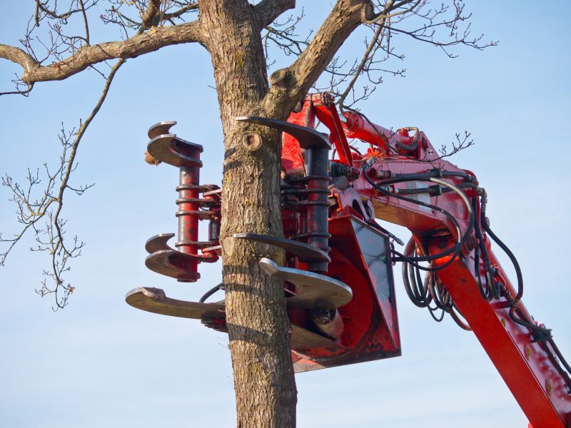 Tree Root Removal Equipment