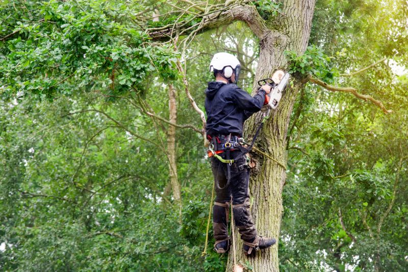 Tree Care Specialists