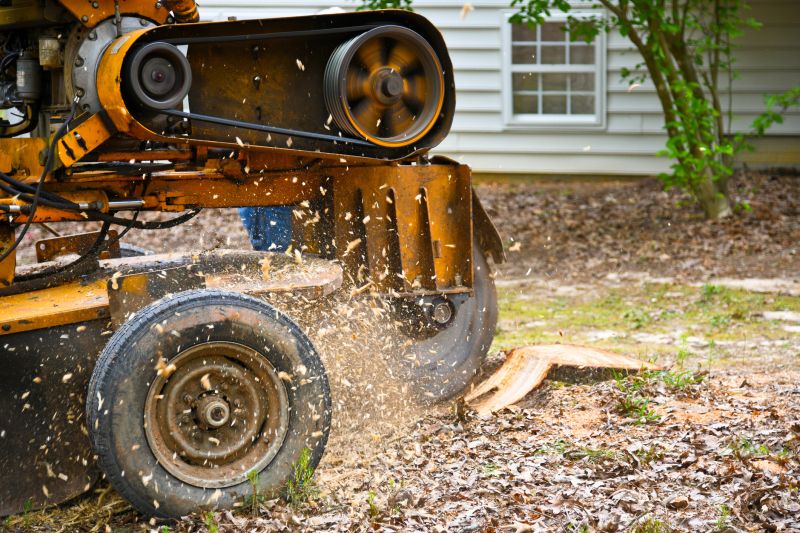 Stump Grinding Professionals
