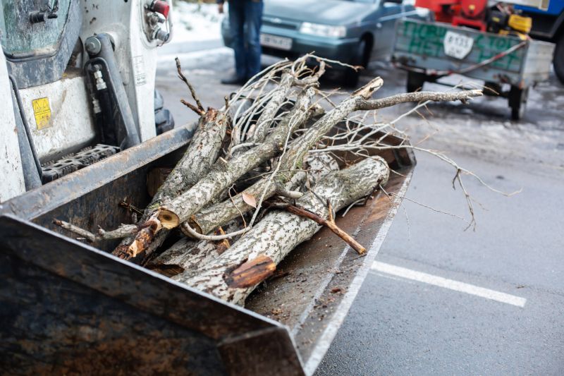 Service Locations for Root Removal